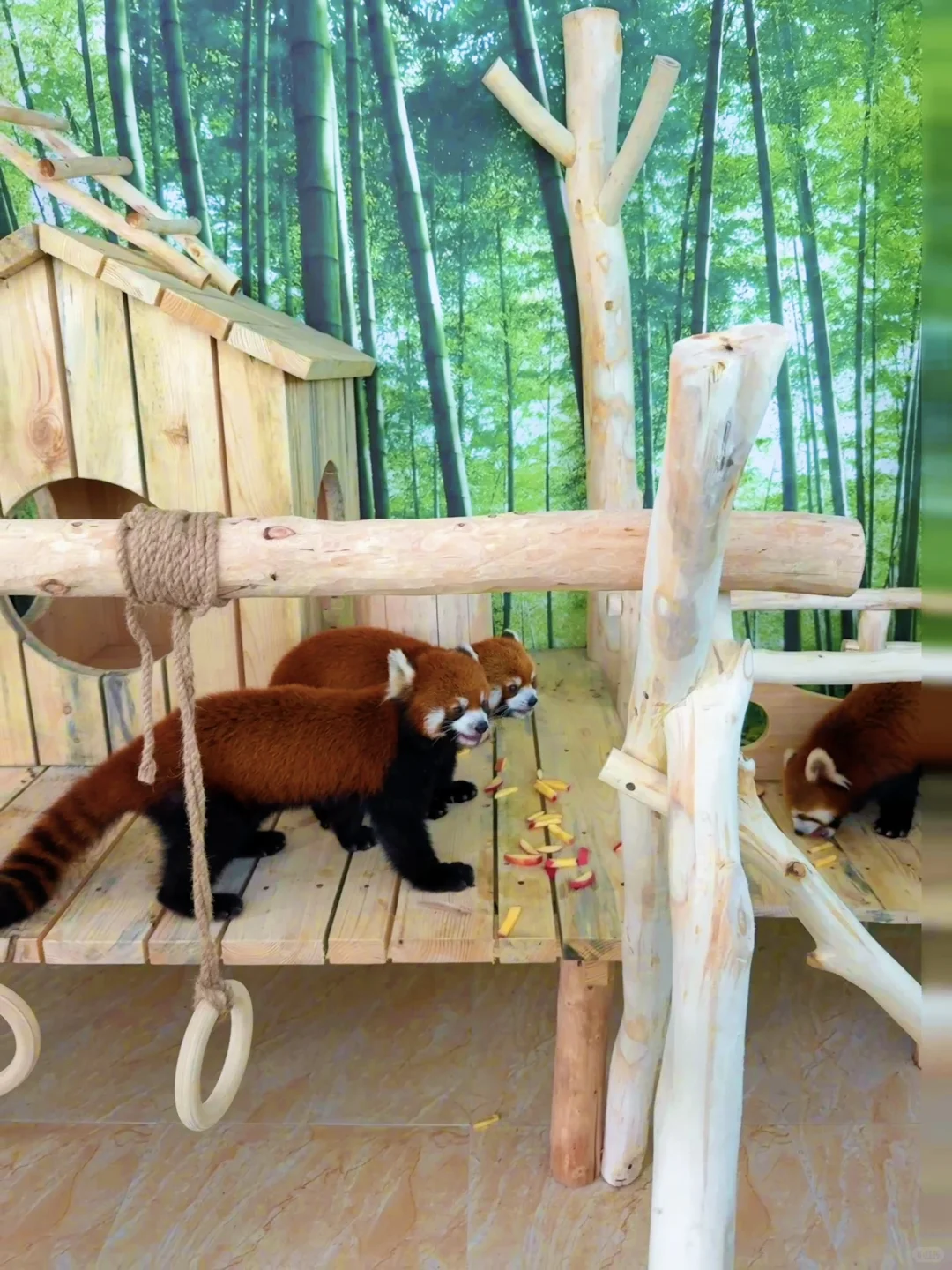 暑期哈尔滨旅游✅纯干货玩法，三天两夜攻略