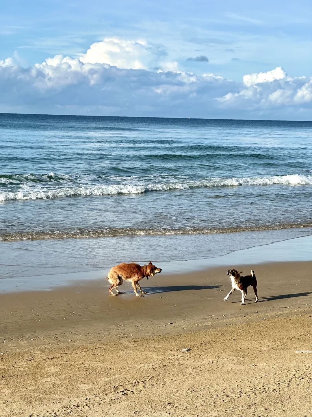 live实况！没出国！！是被严重低估的小众海岛