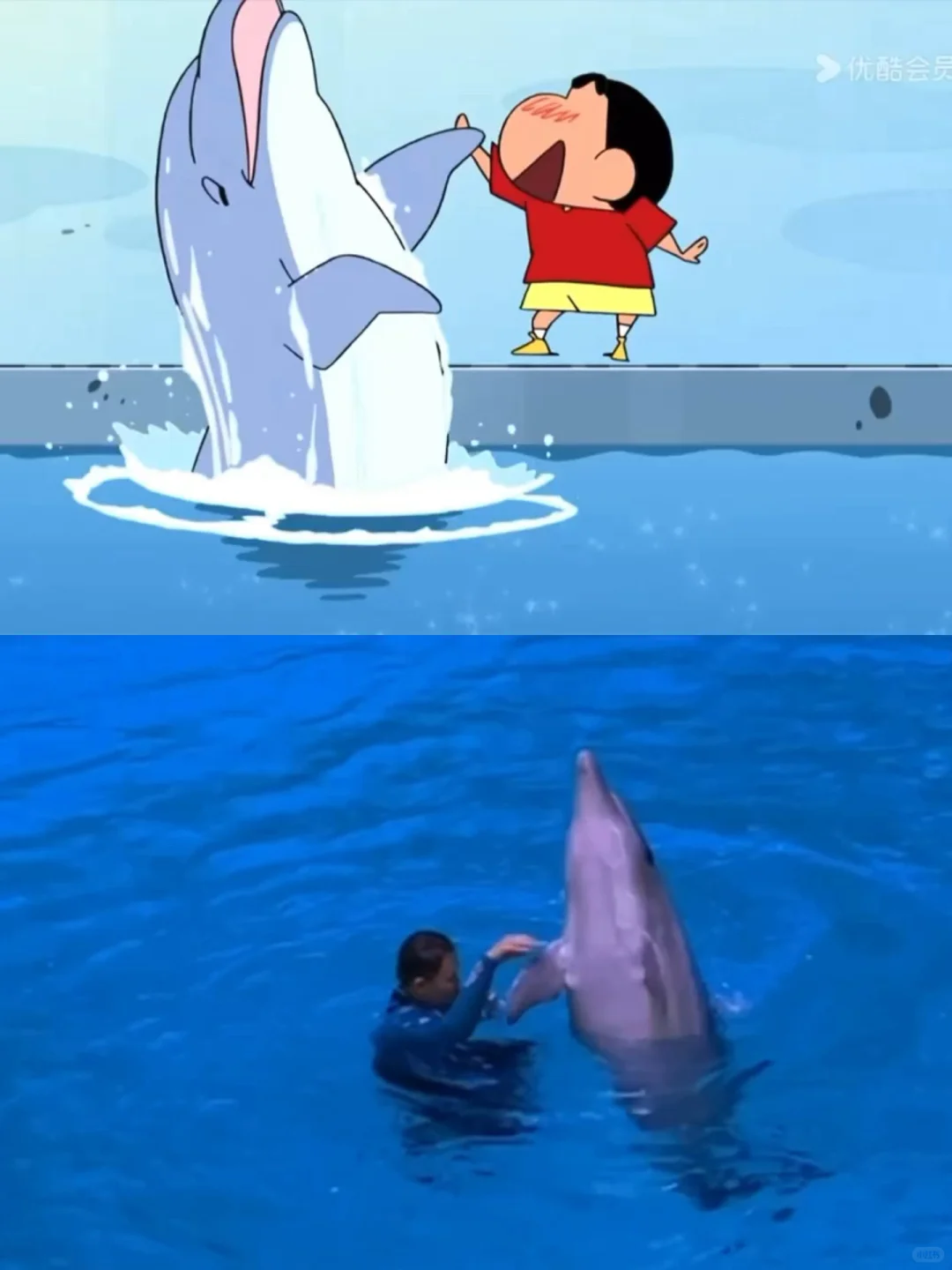 求大家不要放过这个珠海