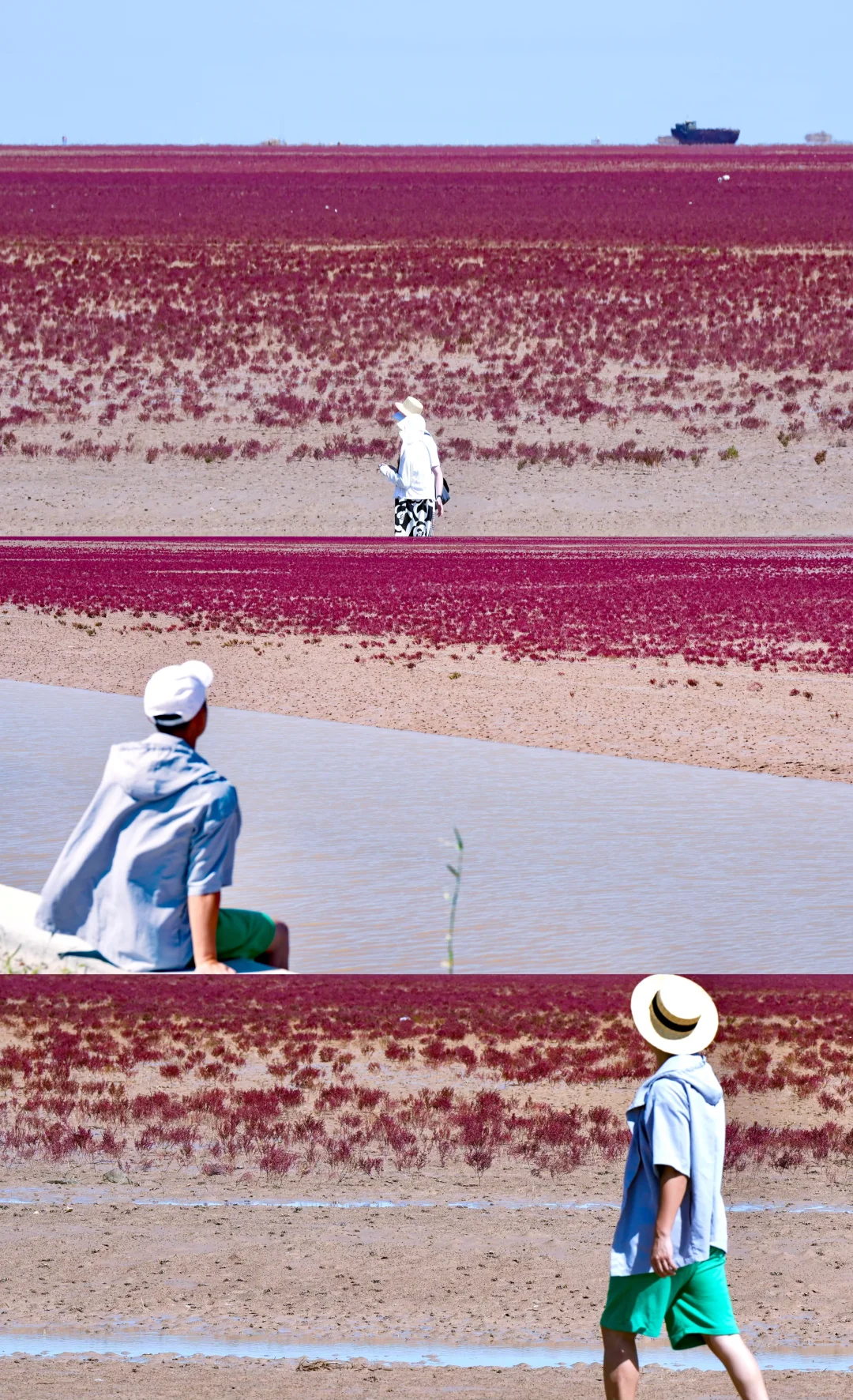 山东人嘴真严❗️被严重低估的冷门滨海小城～