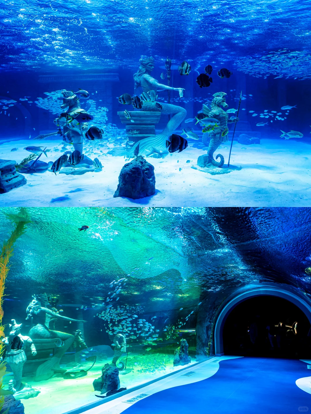 暑期哈尔滨旅游✅纯干货玩法，三天两夜攻略