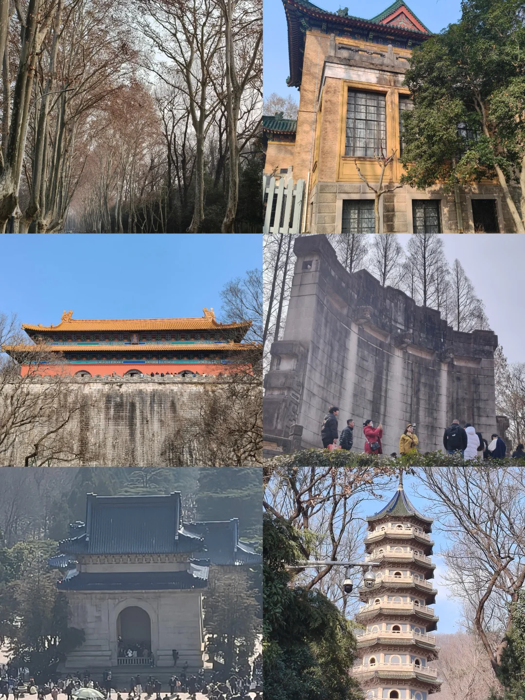 📍南京 4 天 3 晚｜亲子攻略