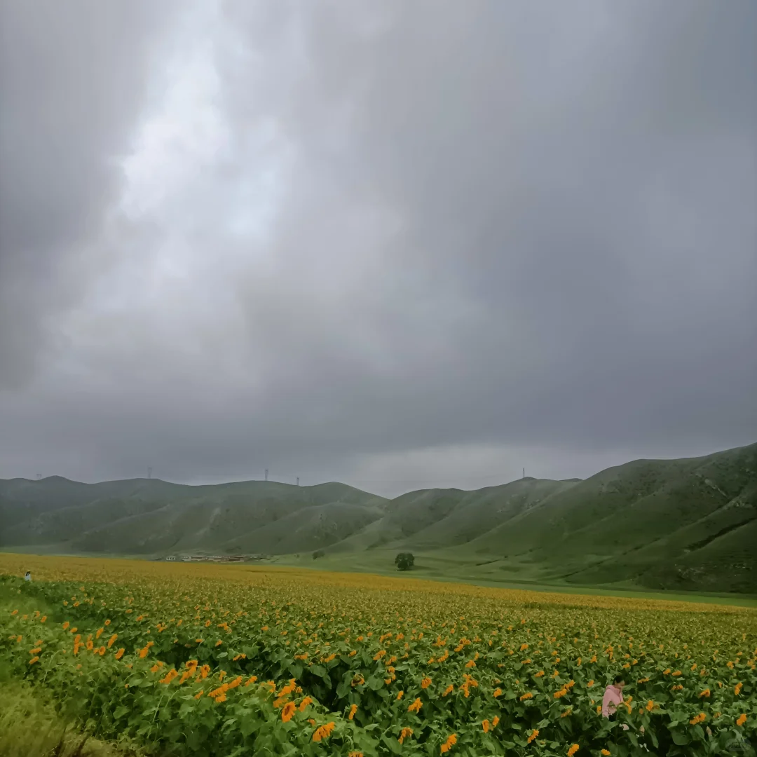 呼和浩特旅四天三晚，旅游攻略