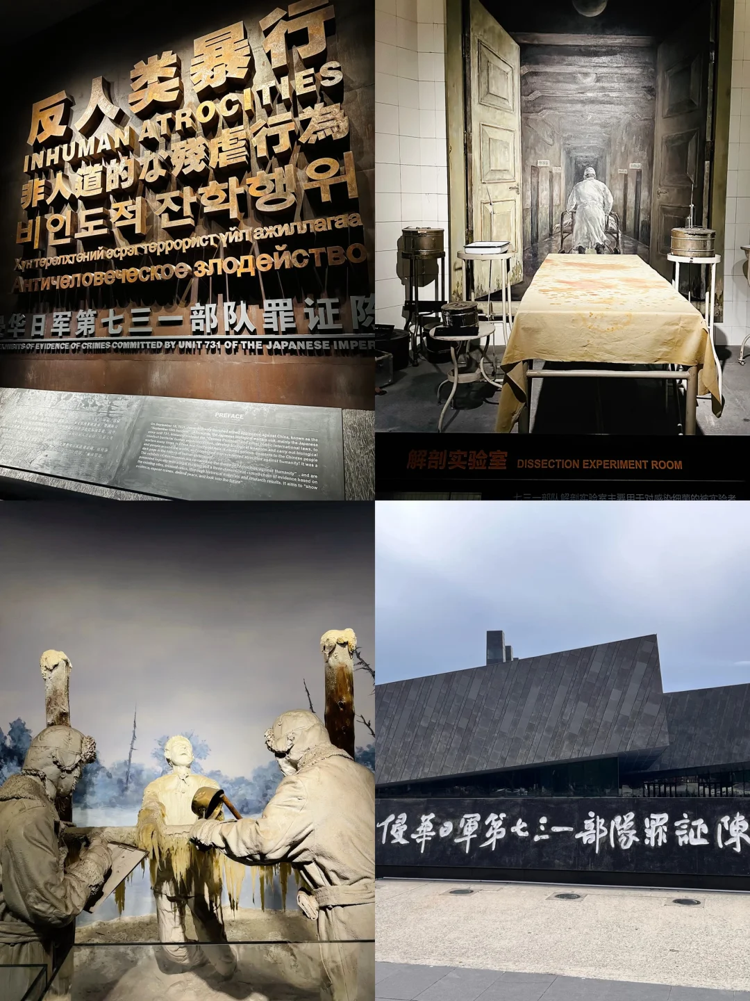 三天两晚哈尔滨旅游已回，超全攻略自取！