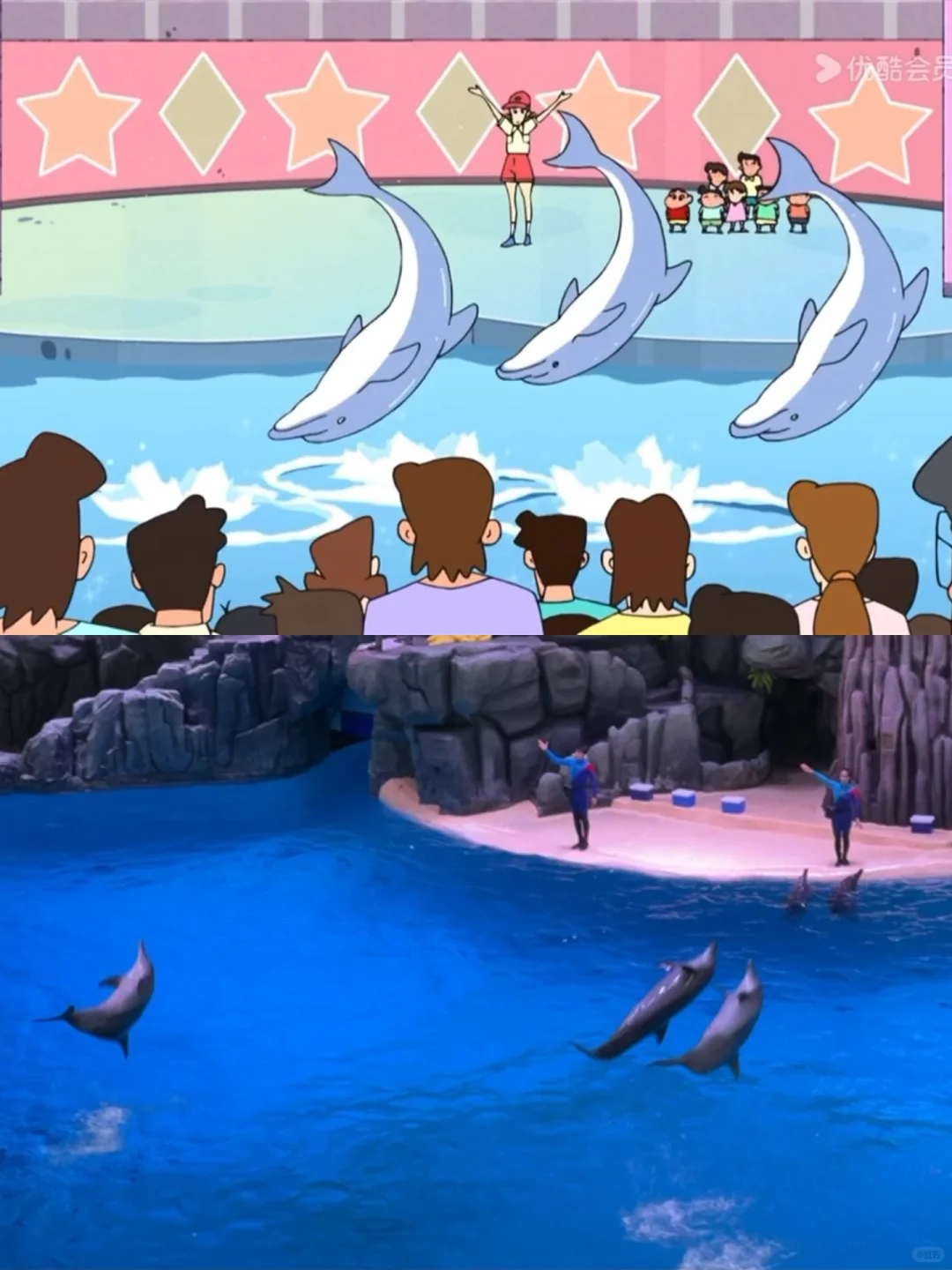 求大家不要放过这个珠海