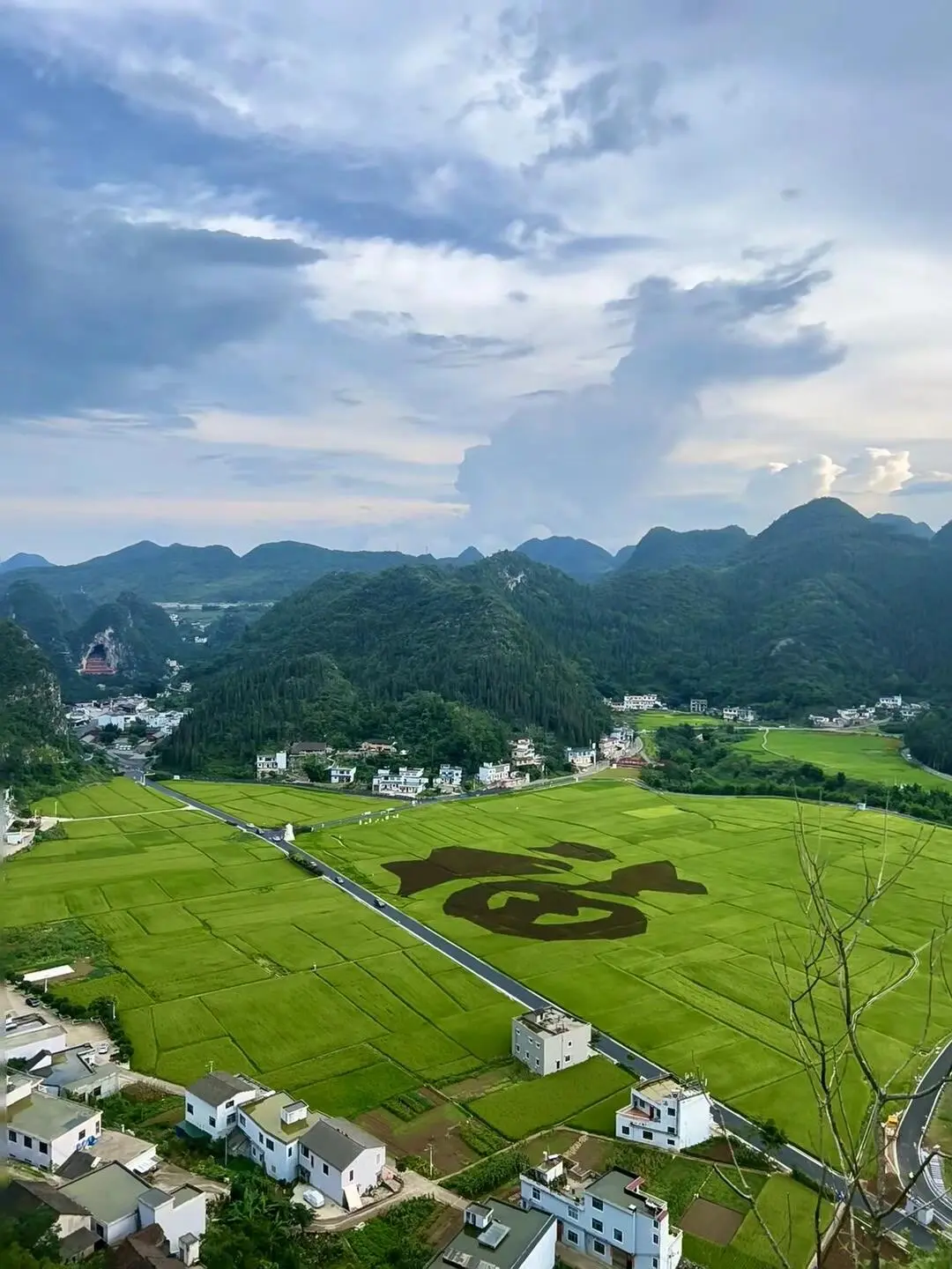 带娃二刷贵州，娃说比迪士尼好玩，强推！