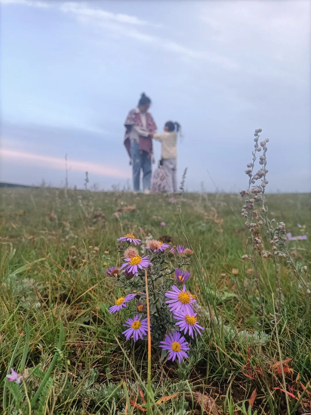 呼和浩特旅四天三晚，旅游攻略