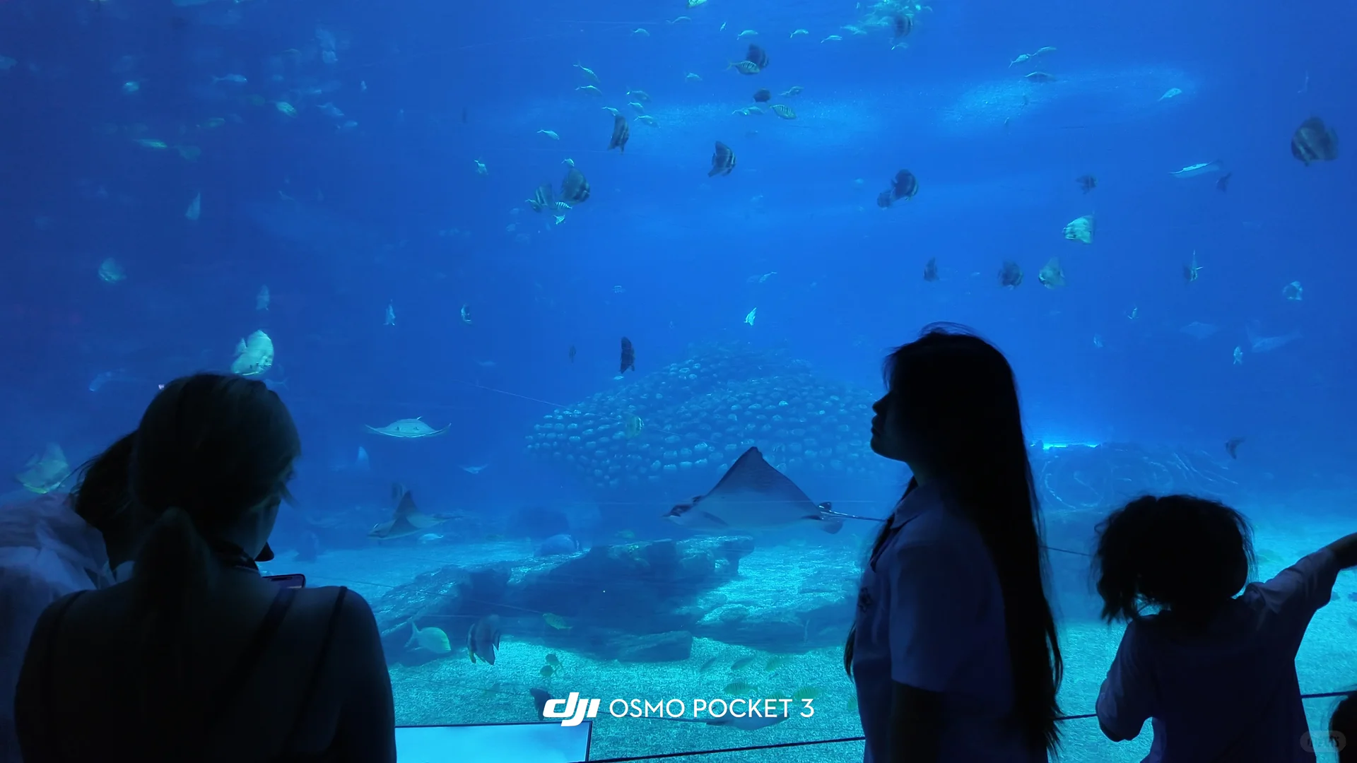 求大家不要放过这个珠海