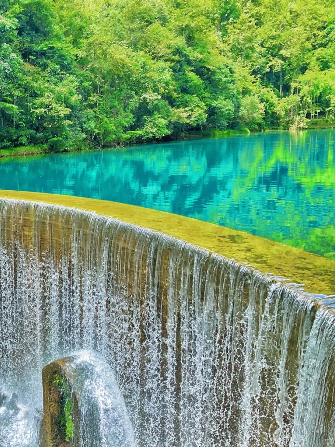 8.12📍贵州旅游崩溃现状❗奉劝要去的姐妹