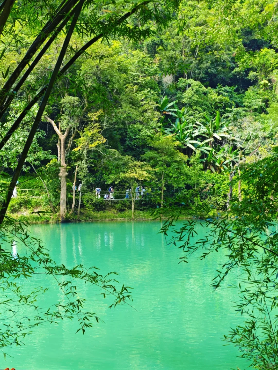 8.12📍贵州旅游崩溃现状❗奉劝要去的姐妹