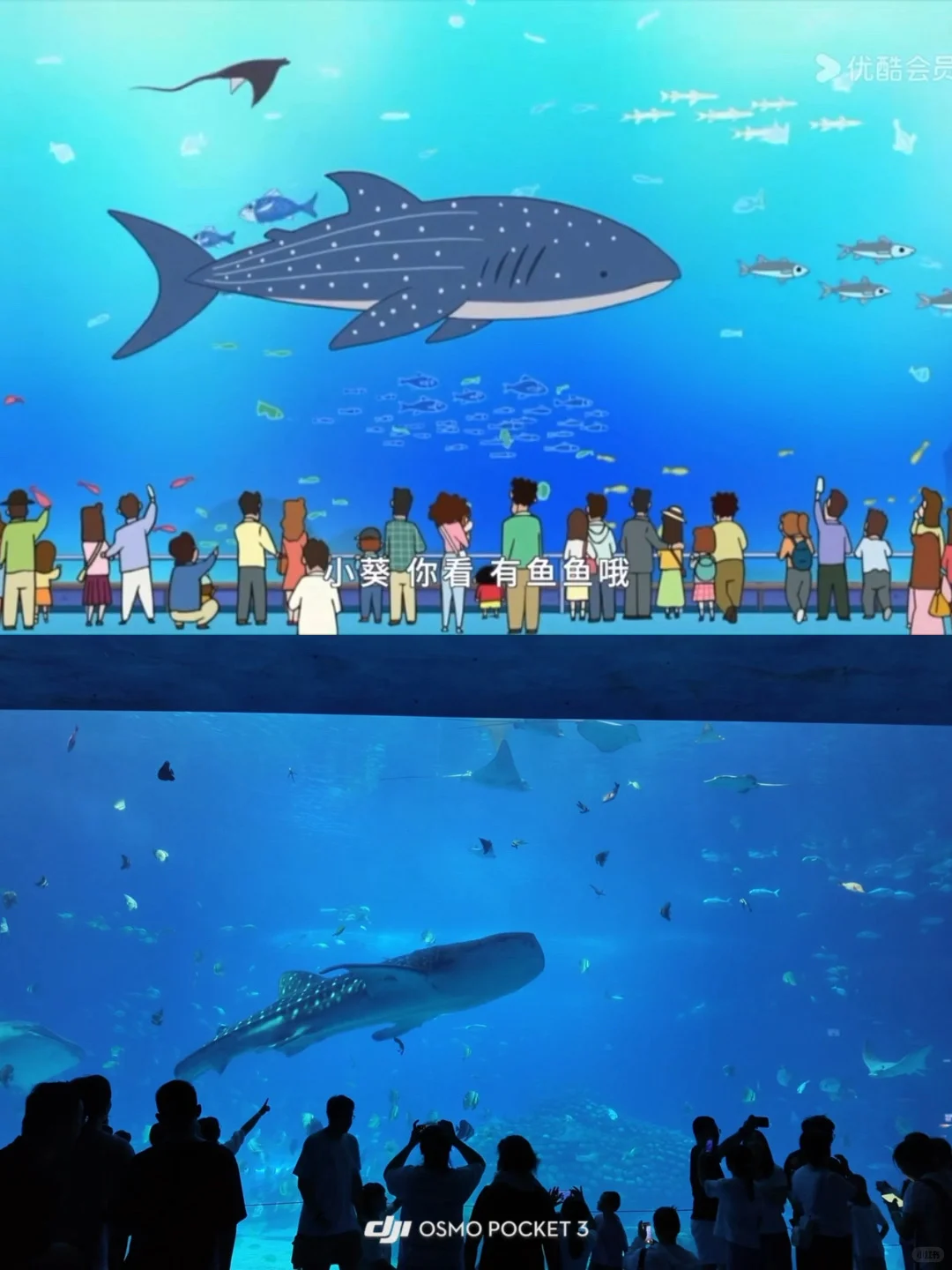 求大家不要放过这个珠海