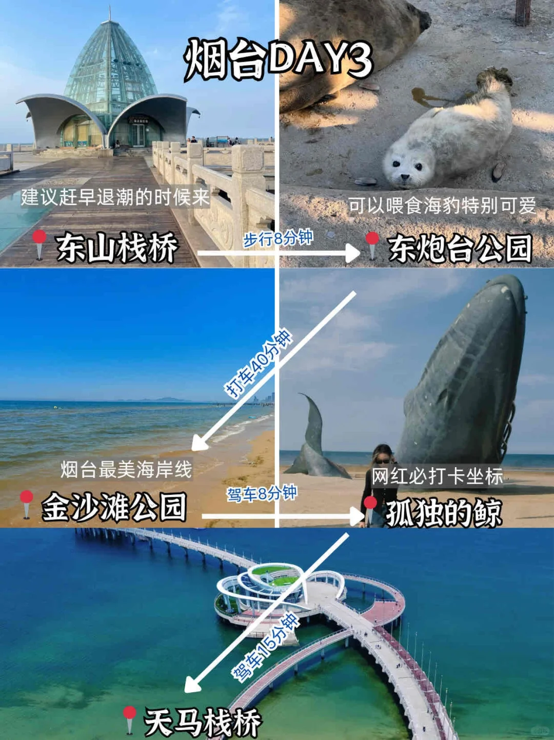 📍烟台旅游已回。。我是真的崩溃了🥵