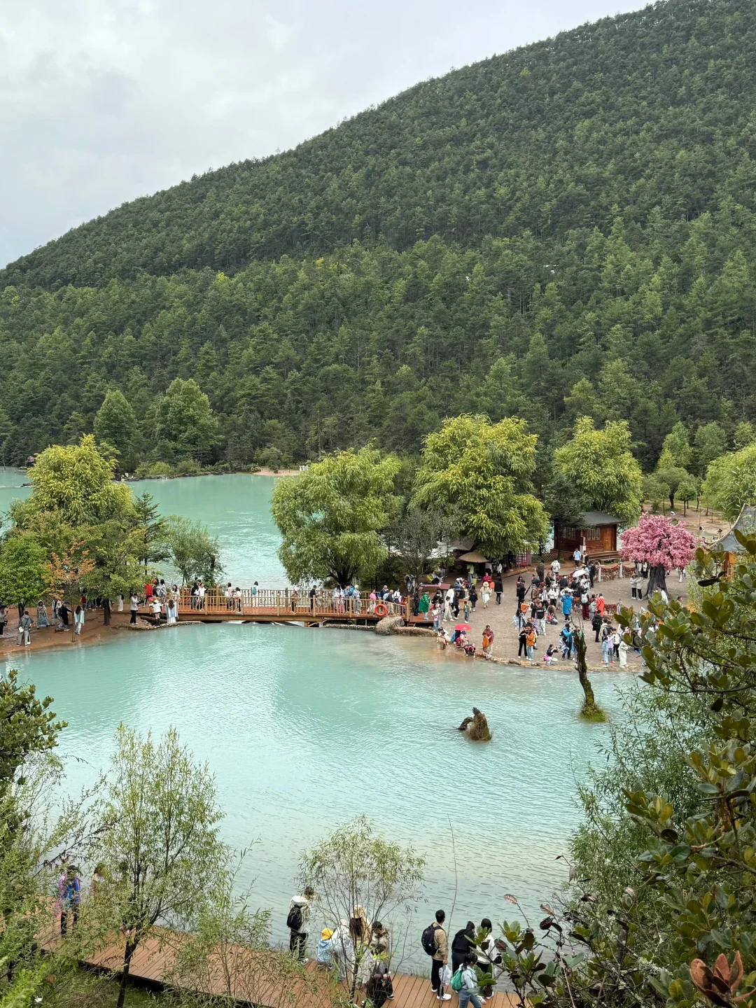 对自己熬夜做的丽江攻略满意得睡不着…😭