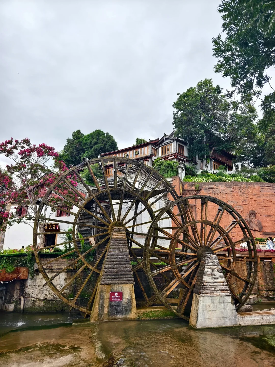 对自己熬夜做的丽江攻略满意得睡不着…😭