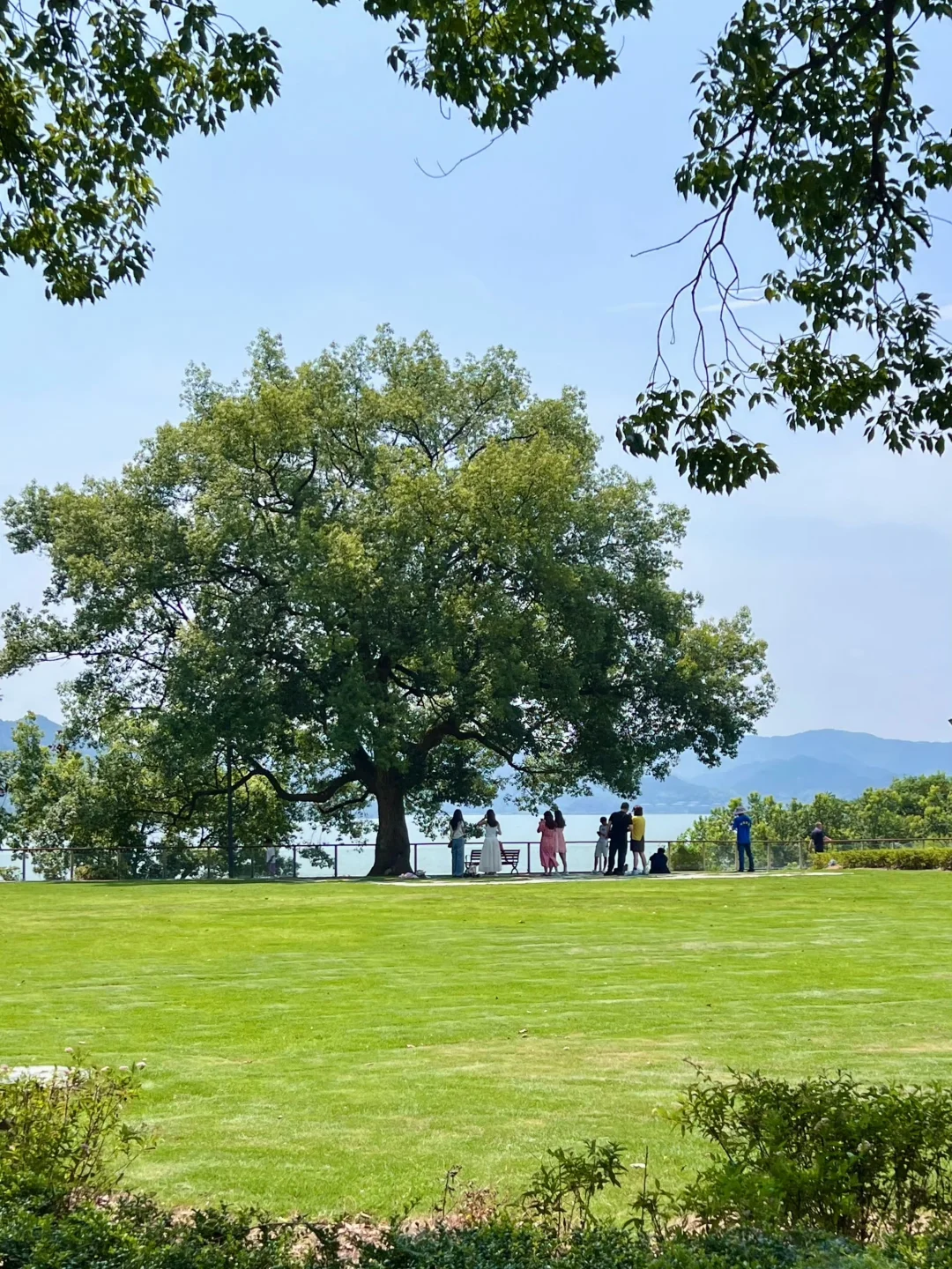 宁波会惩罚每一个不做攻略的人🙏