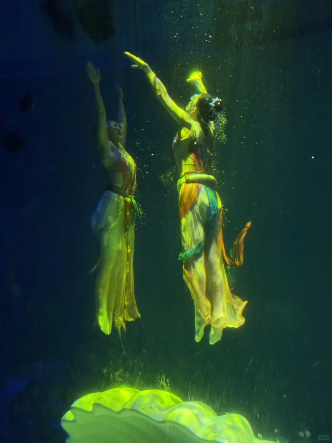 暑期哈尔滨旅游✅纯干货玩法，三天两夜攻略