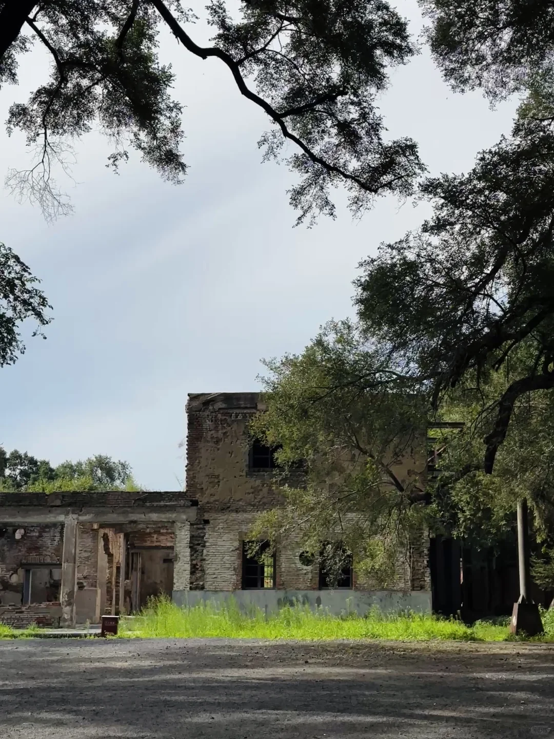 三天两晚哈尔滨旅游已回，超全攻略自取！