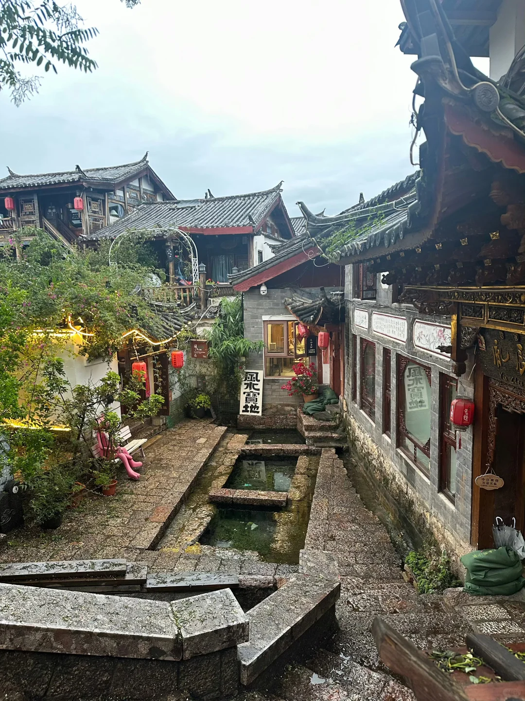 对自己熬夜做的丽江攻略满意得睡不着…😭