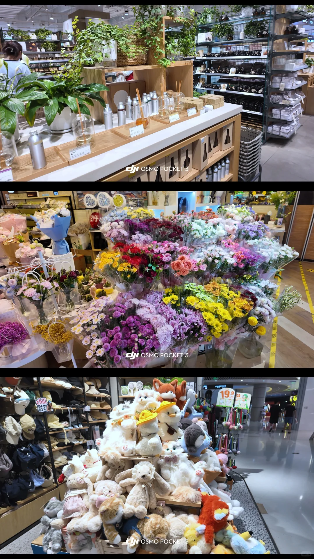 求大家不要放过这个珠海