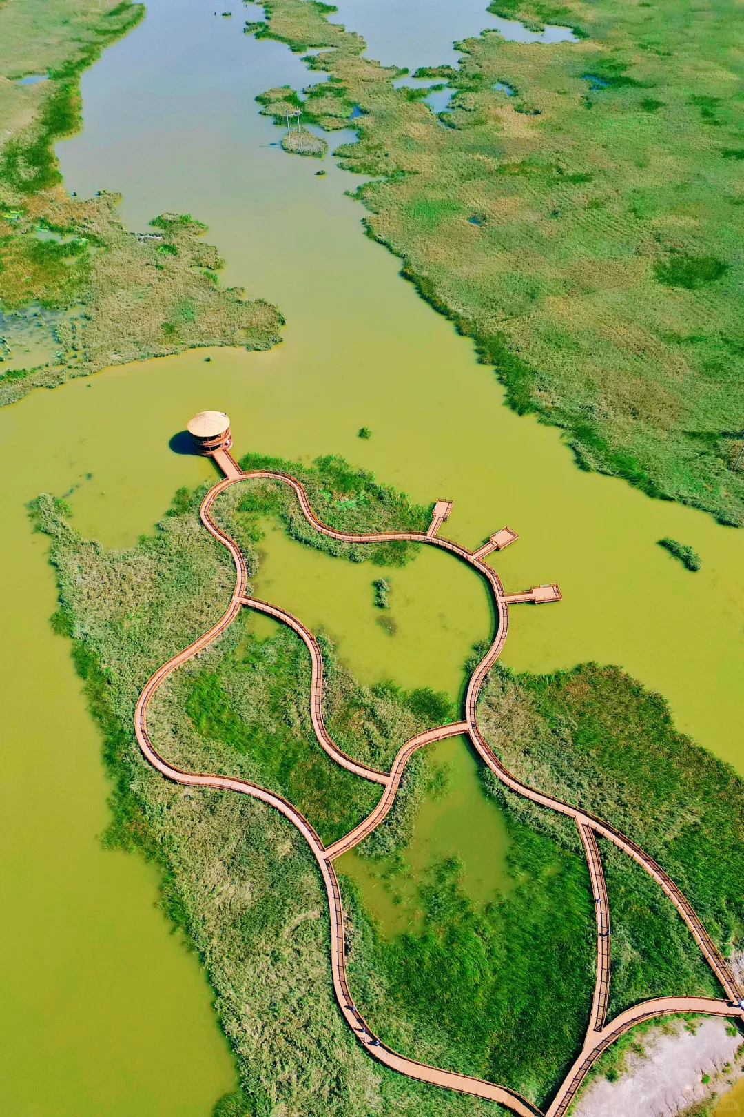 山东人嘴真严❗️被严重低估的冷门滨海小城～