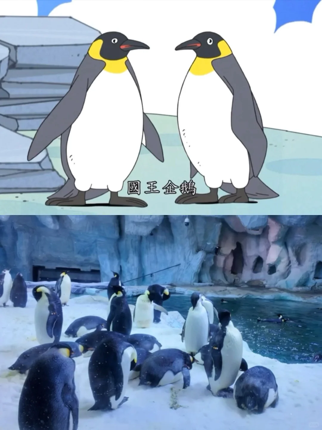 求大家不要放过这个珠海