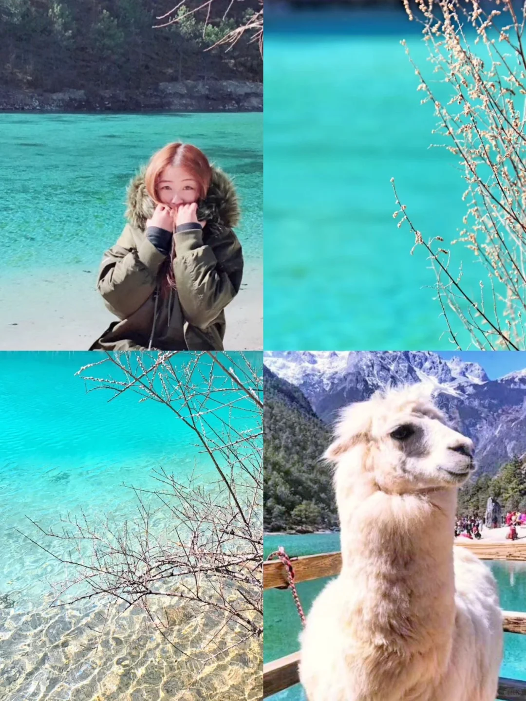 刚从丽江回来!4天3晚懒人旅游攻略照抄版📝