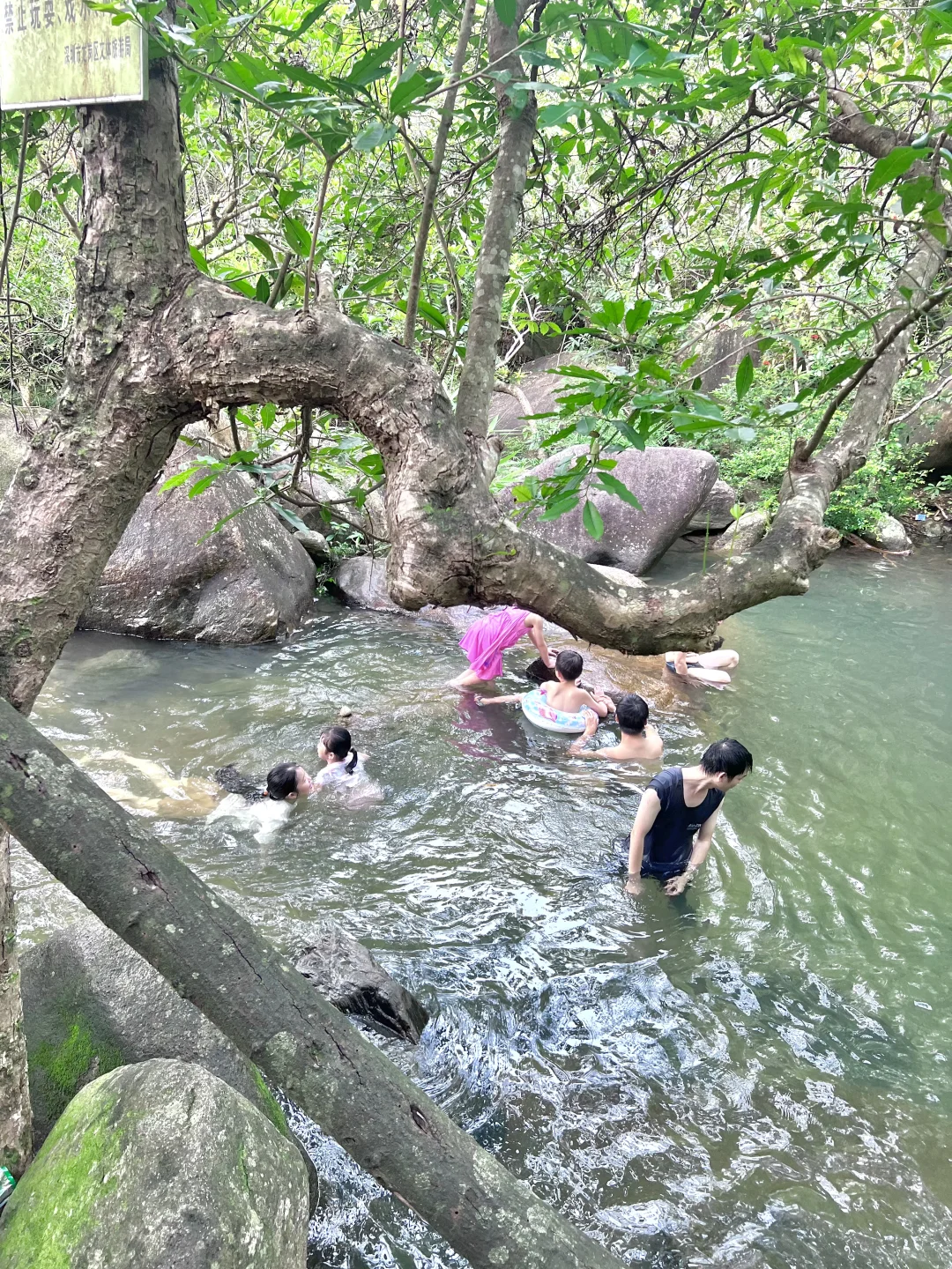 溯溪玩水捞鱼，这才是童年正确的打开方式呀！