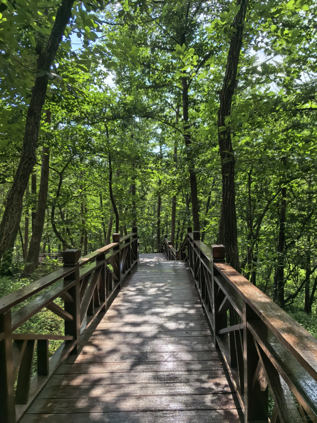 强烈安利临沂 沂蒙山龟蒙景区！！！