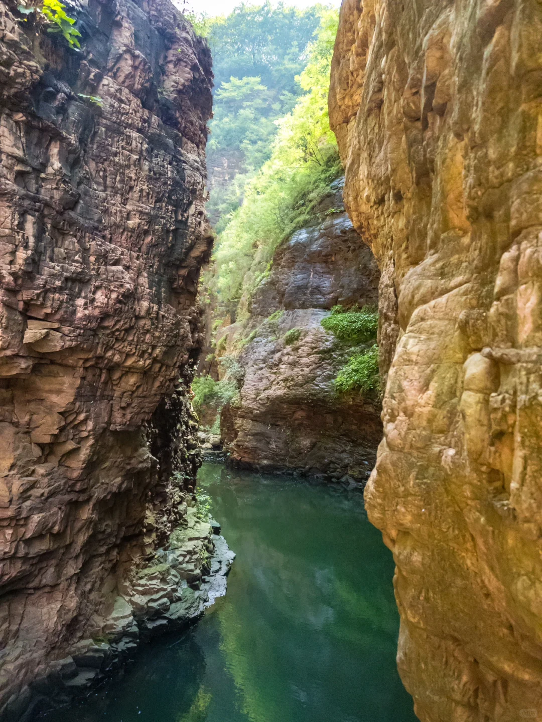 发现清凉避暑的小众山谷‼️有瀑布💦能漂流‼️
