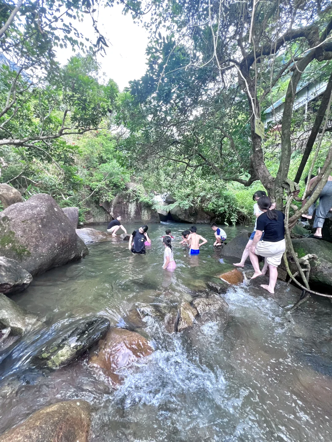 溯溪玩水捞鱼，这才是童年正确的打开方式呀！