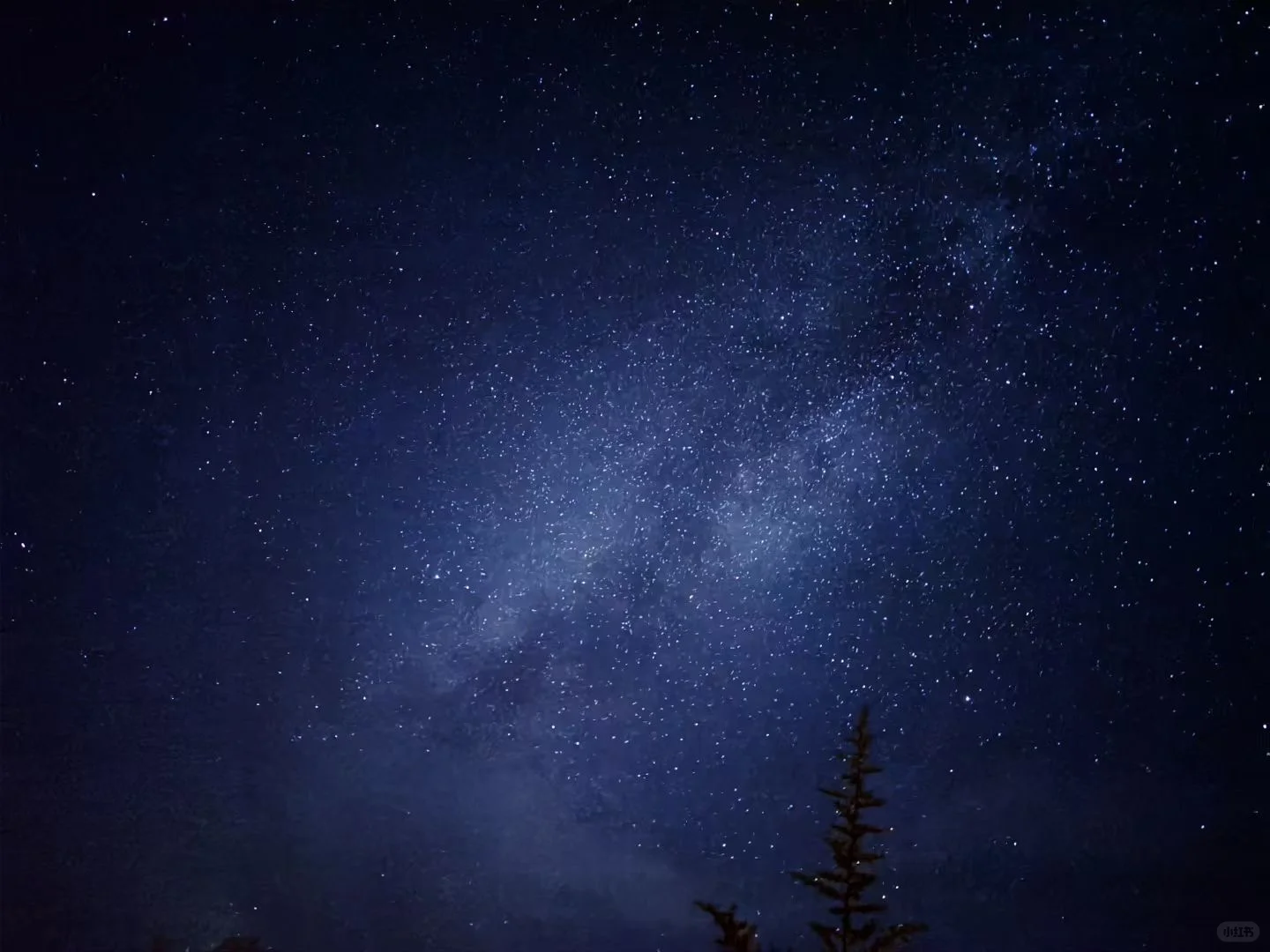 千岛湖红山谷景区