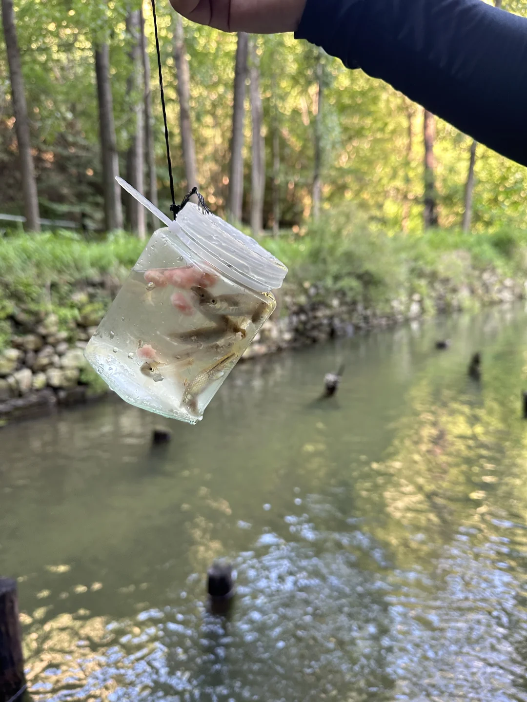 我宣布这是保定最好玩的景区！！！