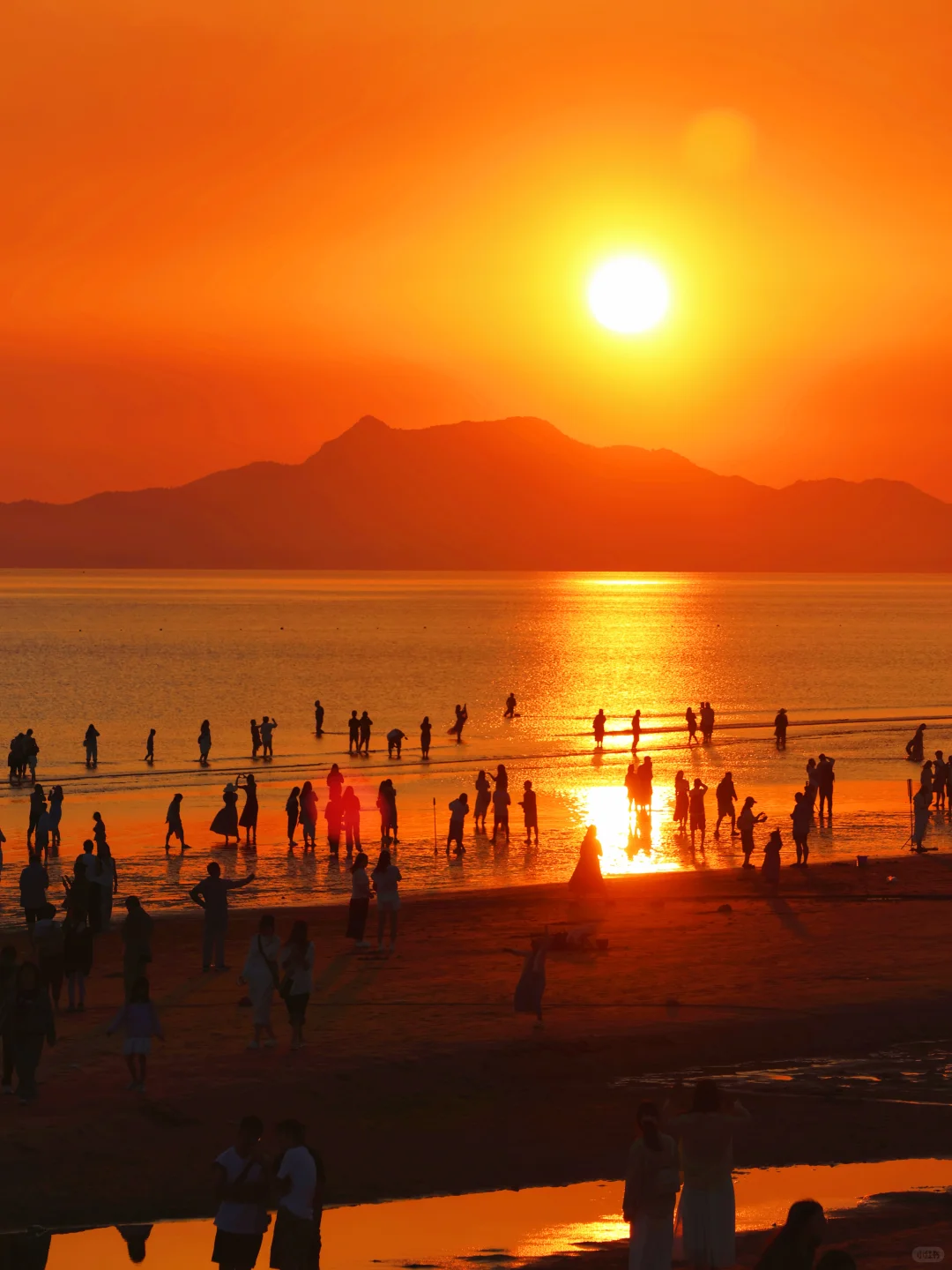 迄今为止，我最喜欢的海滨城市出现了…