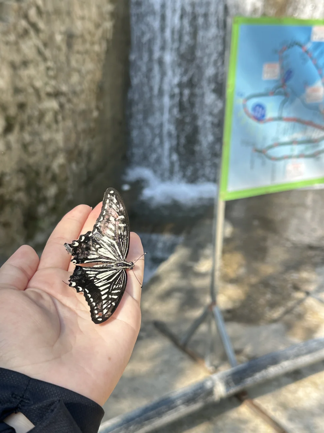 我宣布这是保定最好玩的景区！！！