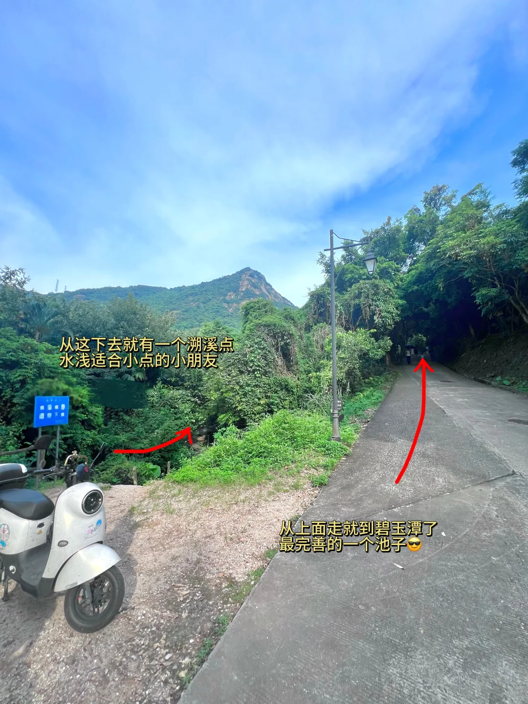 溯溪玩水捞鱼，这才是童年正确的打开方式呀！