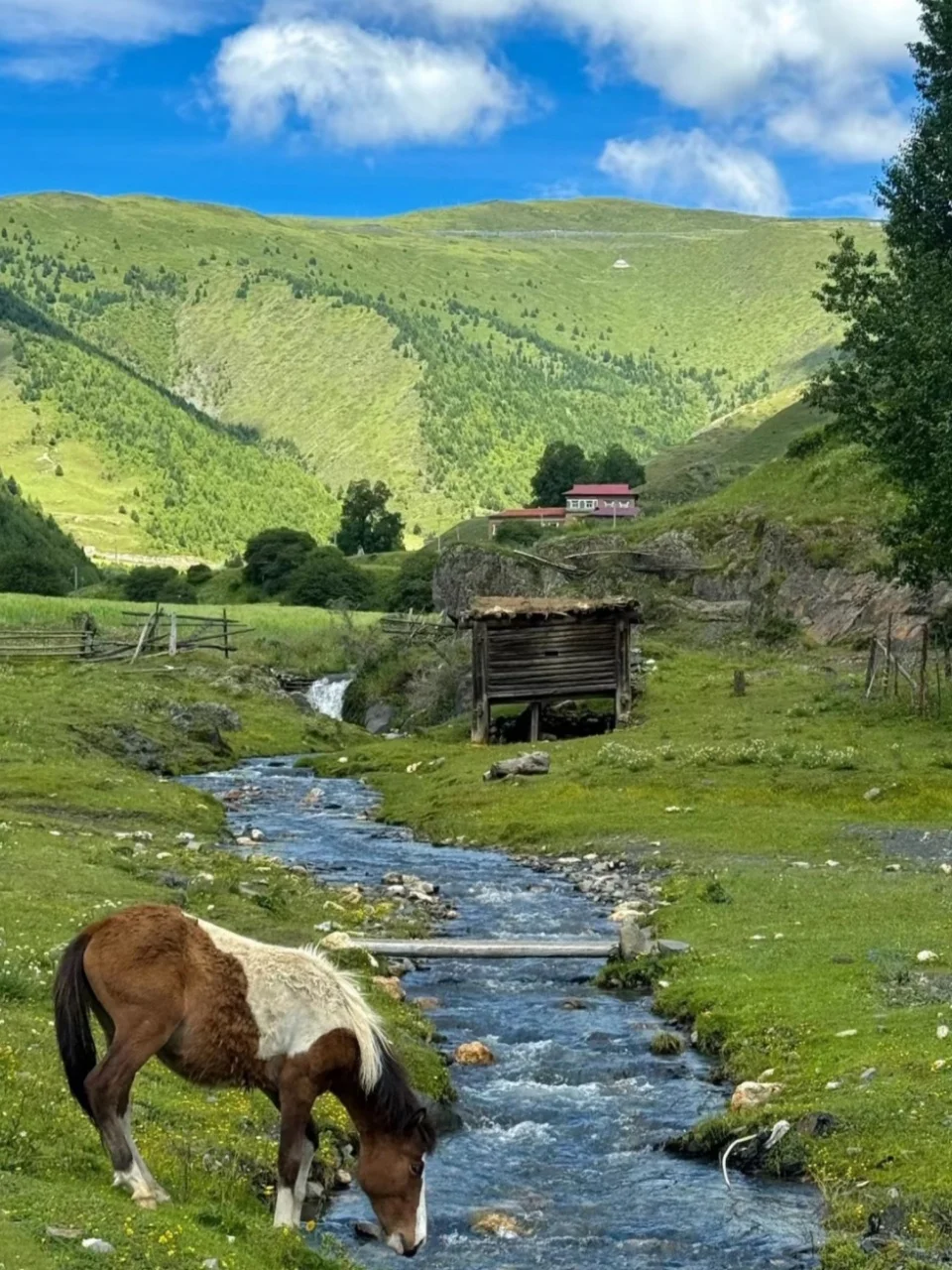 迄今为止，我最喜欢的宝藏小城出现了🏞