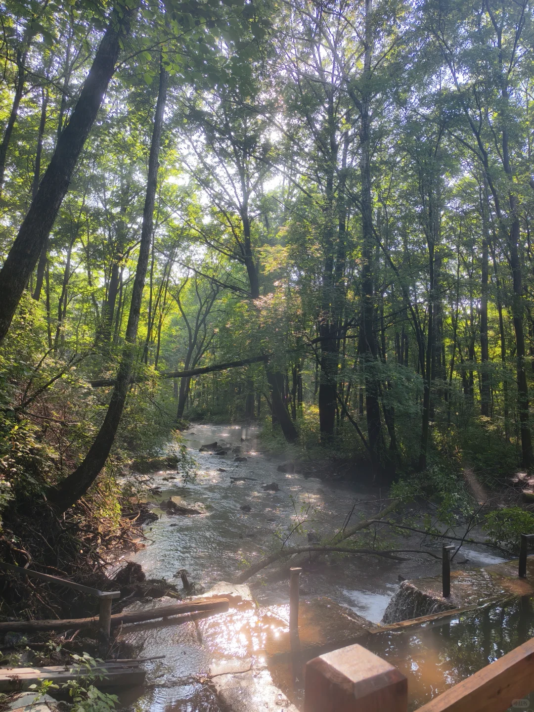 🌟【被低估的“东北小九寨”三角龙湾】