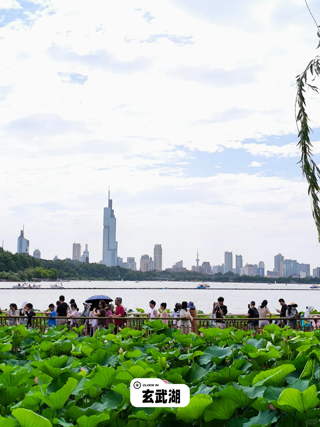 🐉南京旅游必去的15个免费景点！