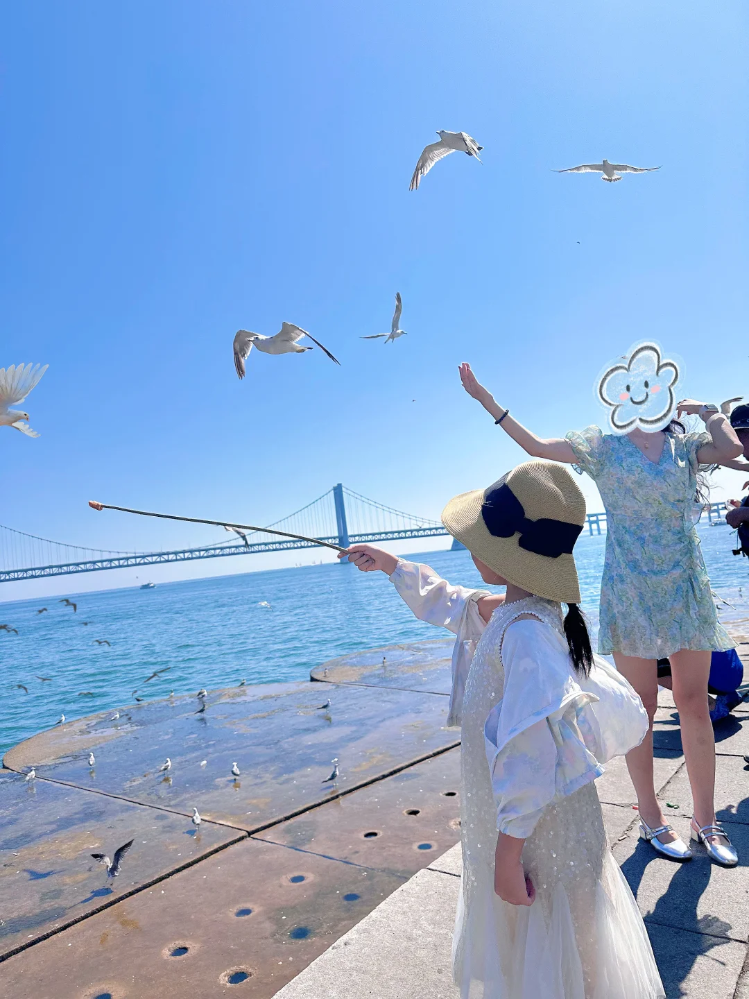 🚗大连旅游攻略➕景点地图