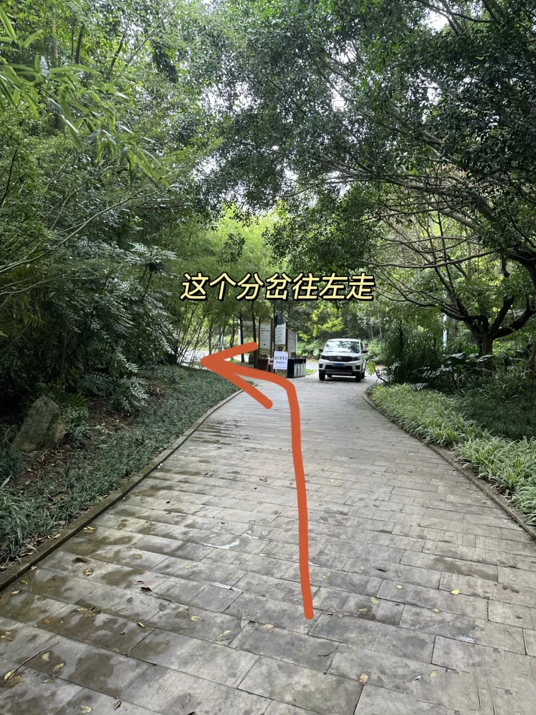 黄果树瀑布上帝视角完美路线地图攻略