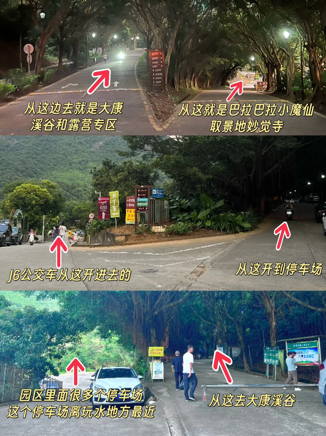 溯溪玩水捞鱼，这才是童年正确的打开方式呀！