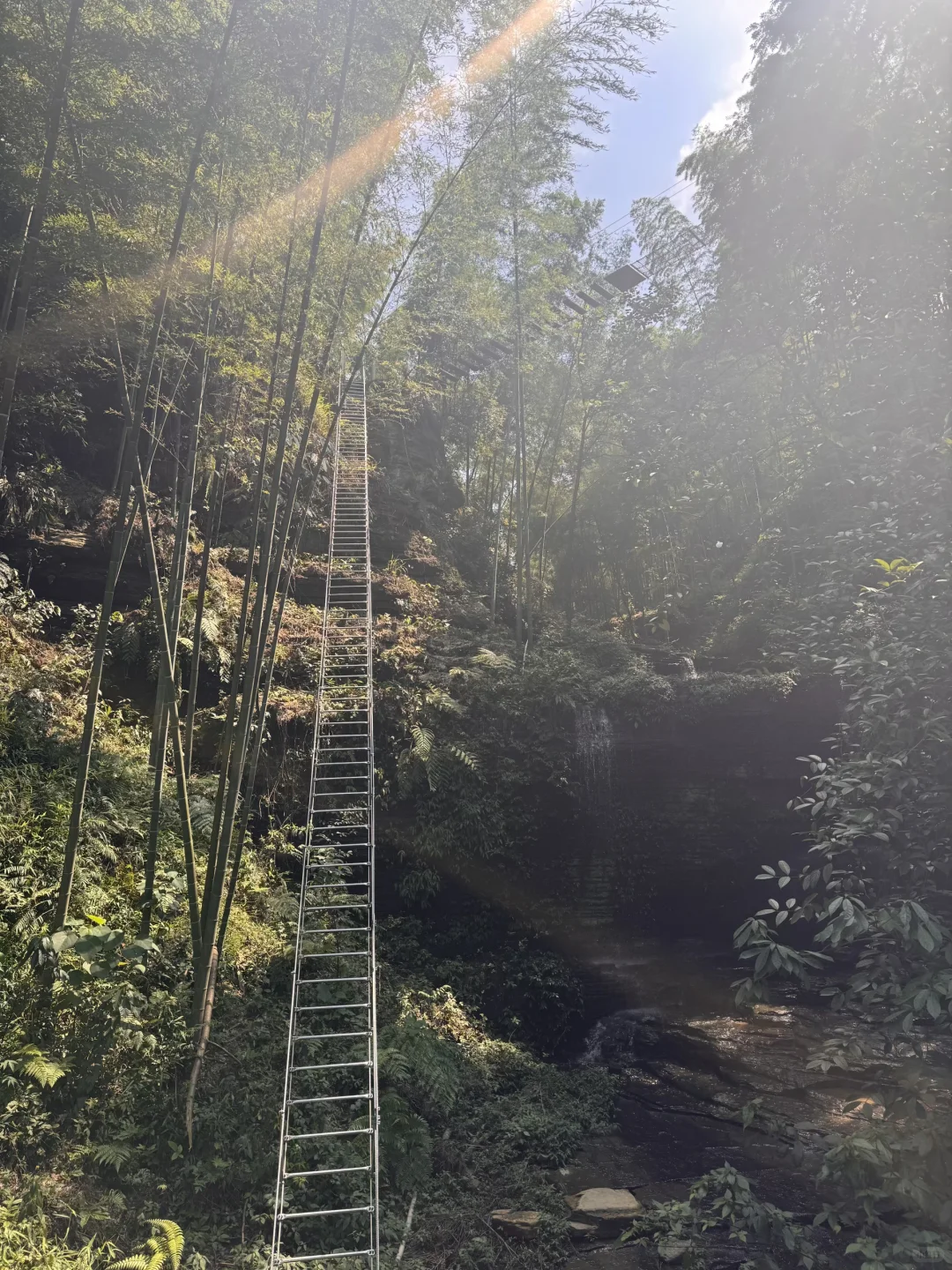 📍宜宾僰王山｜现实版盗墓笔记超详细攻略