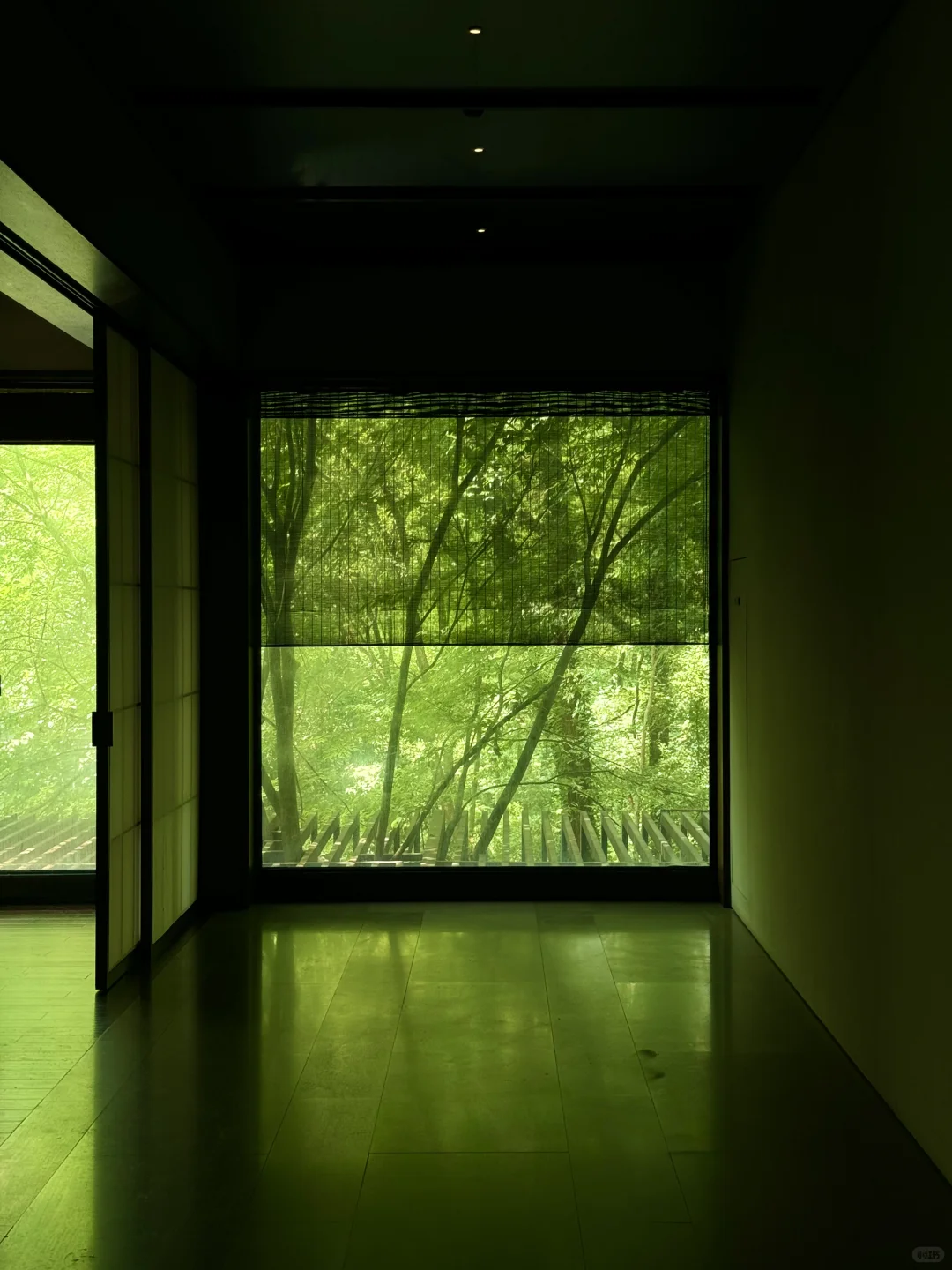 在南京花的最值的一笔钱……