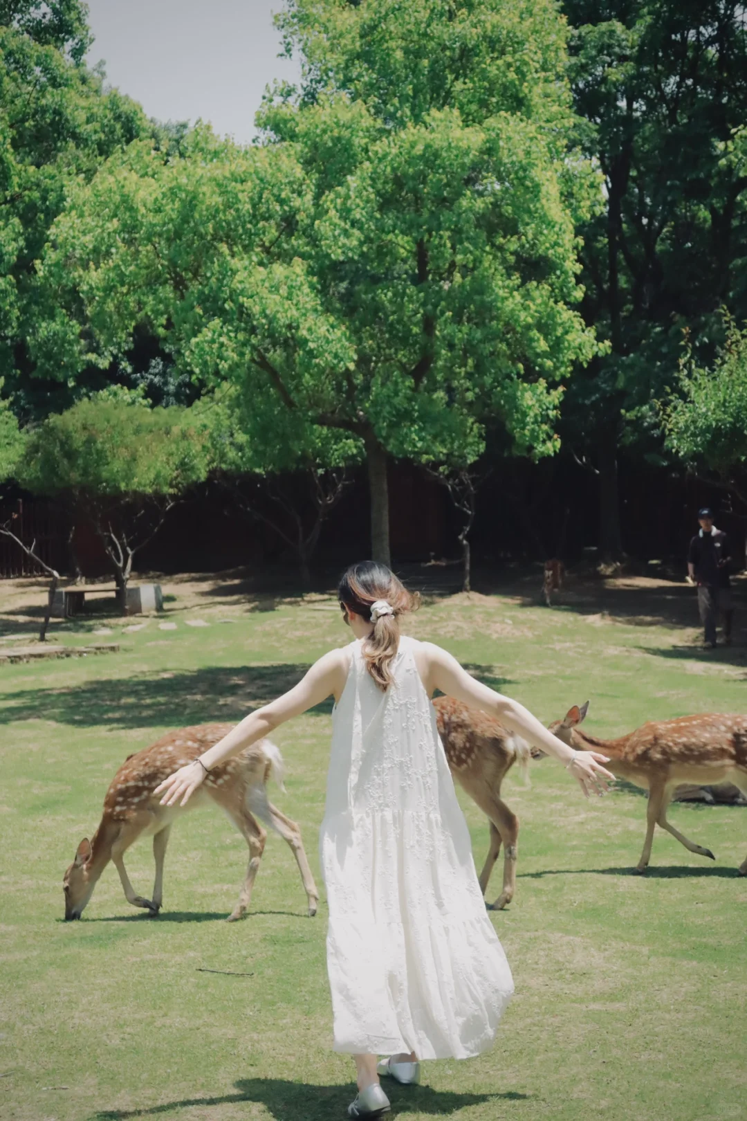 离开南京前 整理了一份钟山风景区全攻略