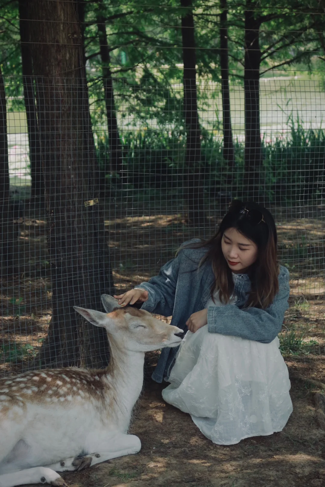 离开南京前 整理了一份钟山风景区全攻略