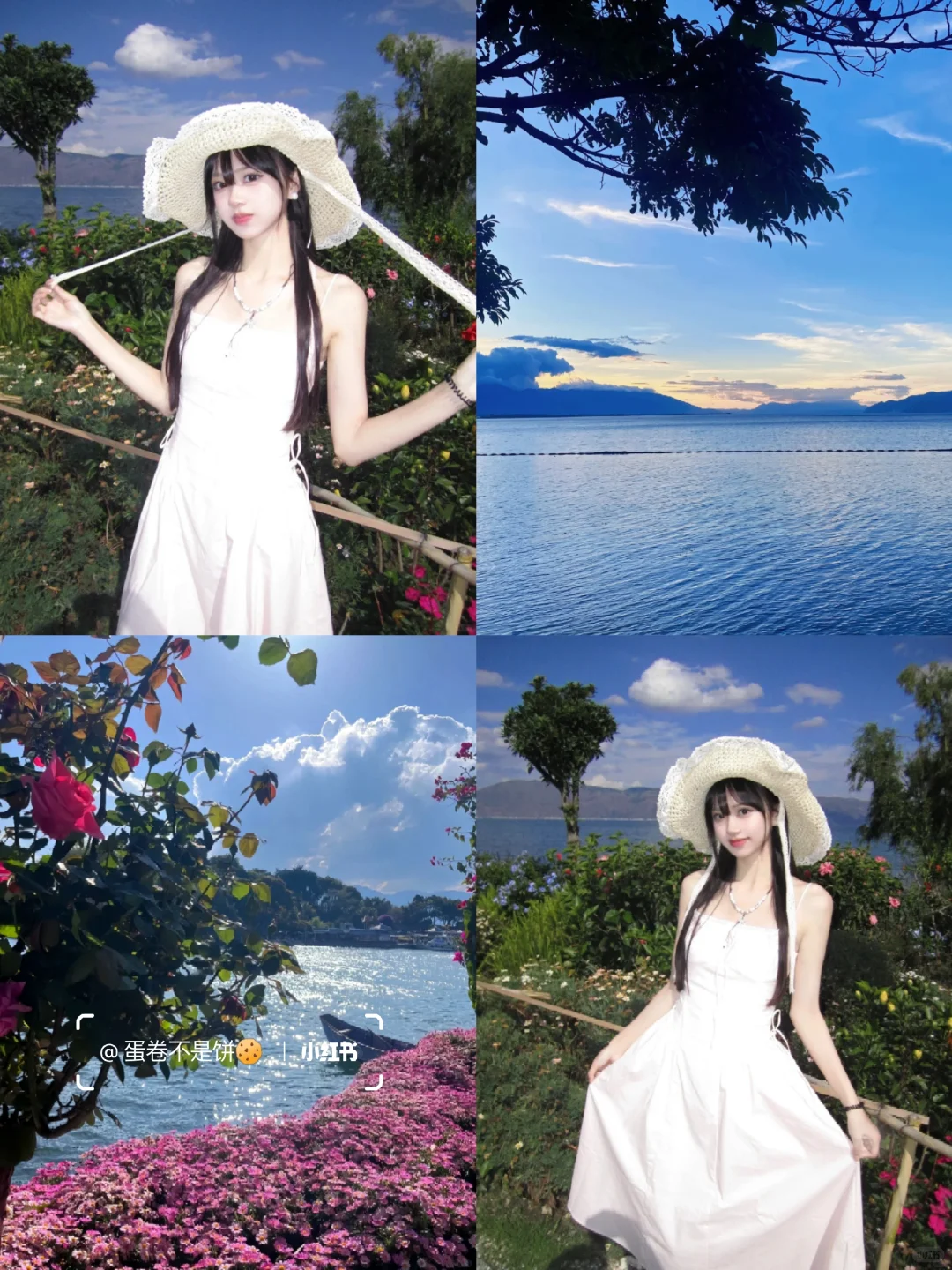 云南已回，七天花了2600💰好玩又不贵…