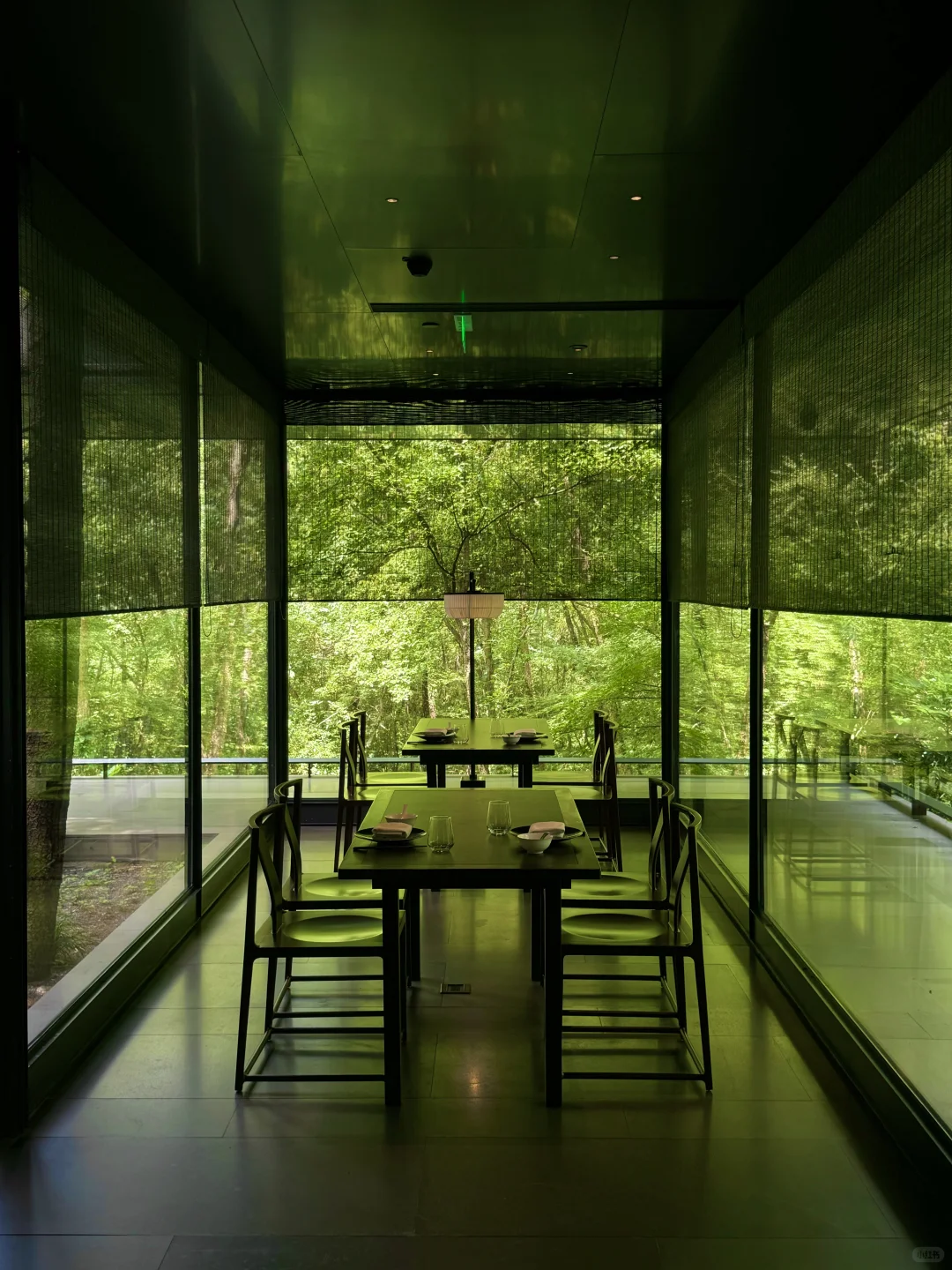 在南京花的最值的一笔钱……