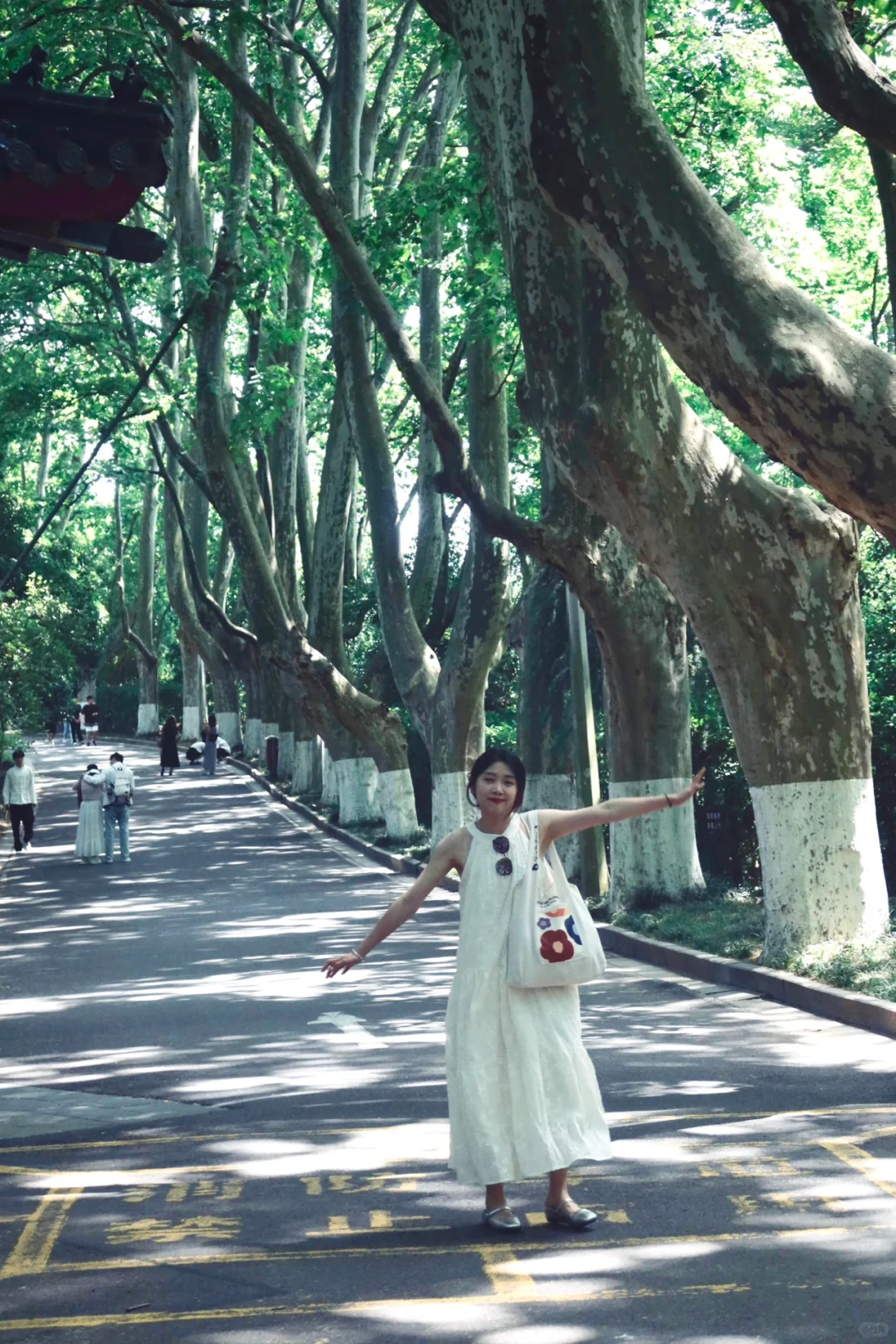 离开南京前 整理了一份钟山风景区全攻略