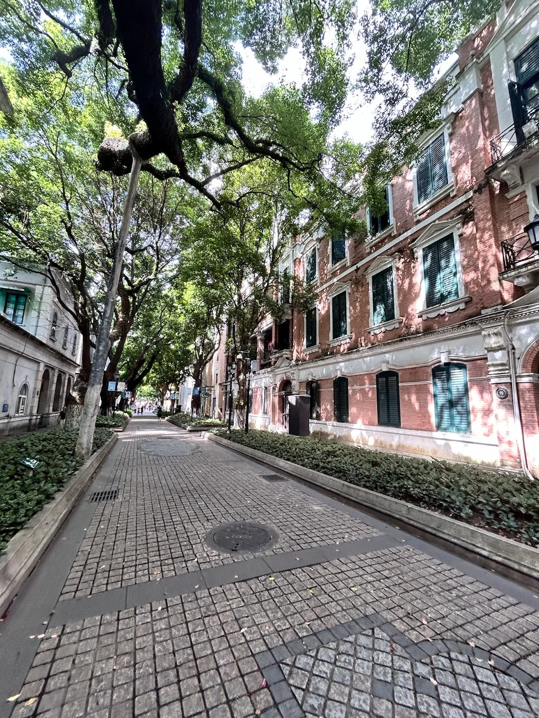 04女大独自南下📍广州三日游|路线分享~