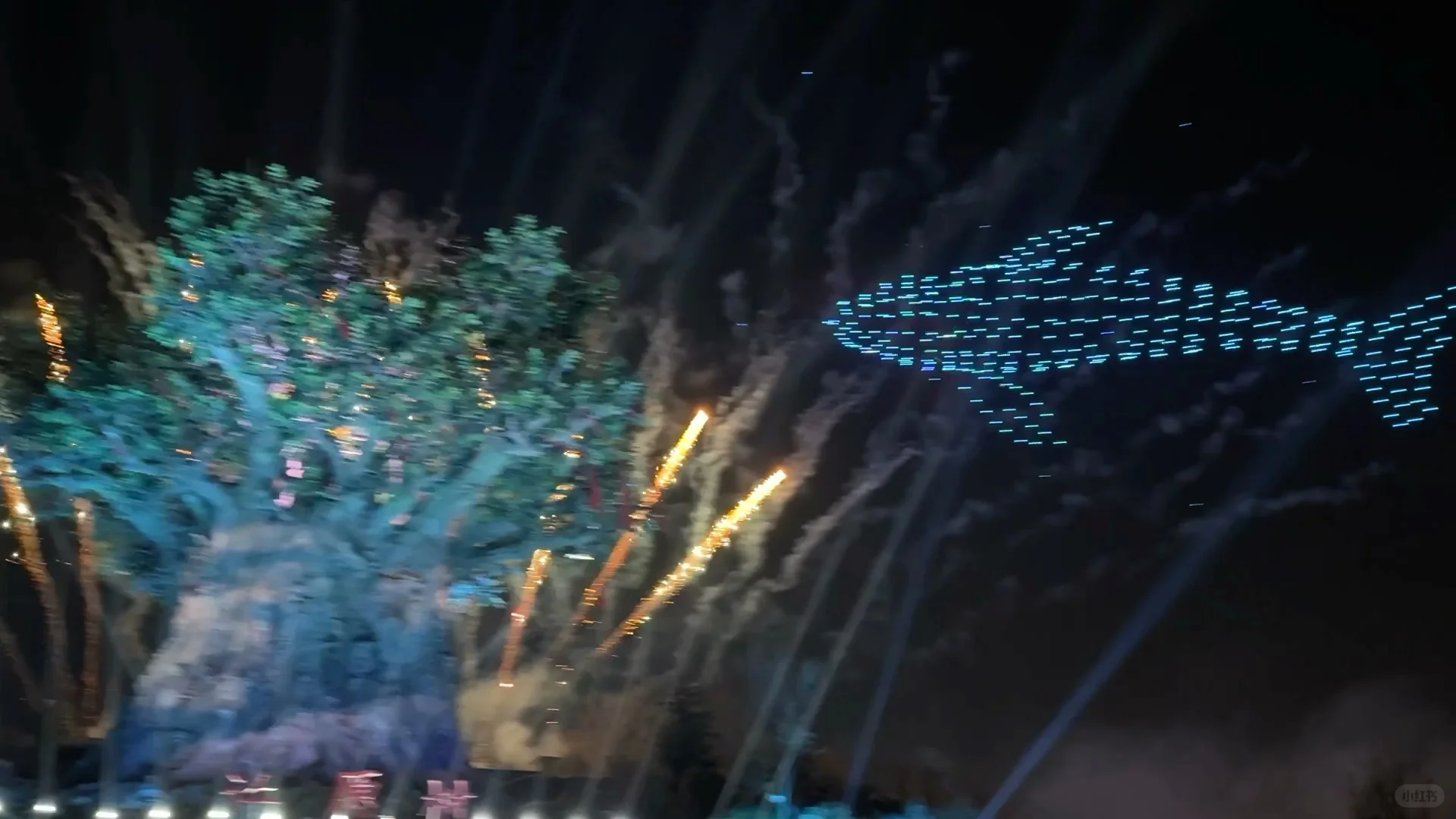 🌟郑州银基动物王国一日游超全攻略来啦！🌟